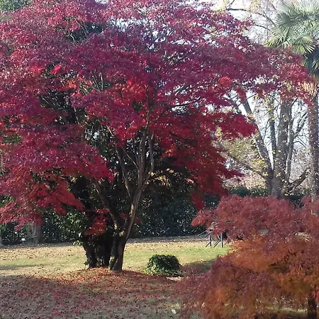 D'azeglio Aparthotel