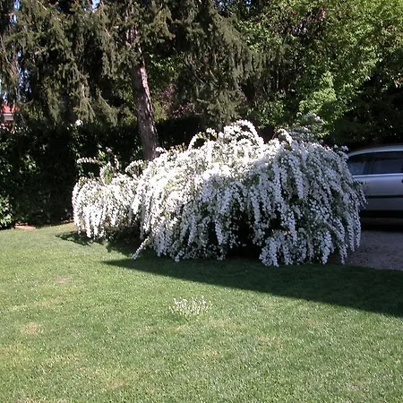 Appart hôtel D'azeglio
