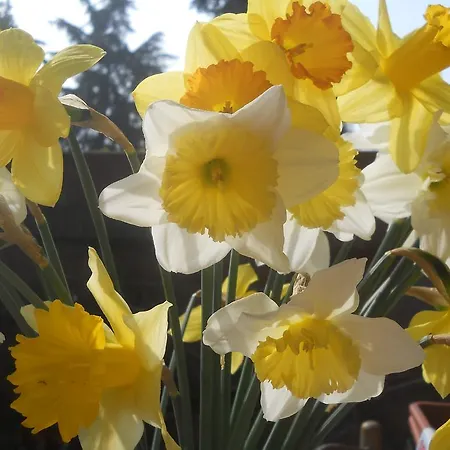 D'azeglio 4* Albiano dʼIvrea