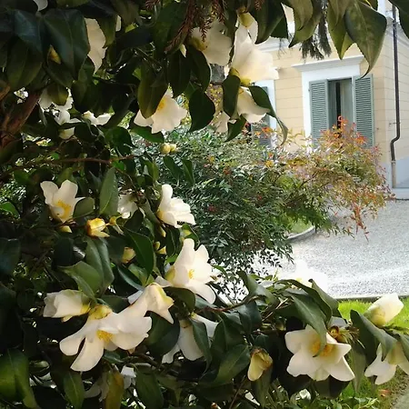 Aparthotel D'azeglio