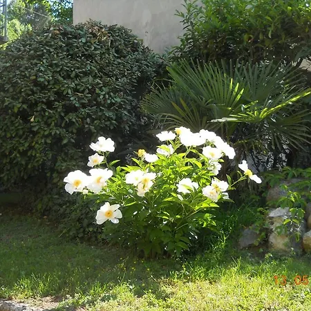 D'azeglio Aparthotel Albiano D'Ivrea