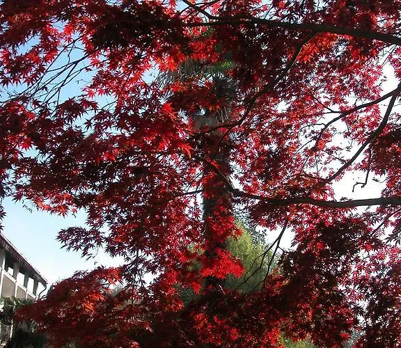 D'azeglio Aparthotel