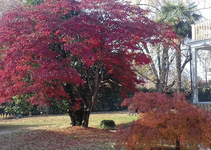 D'azeglio Aparthotel