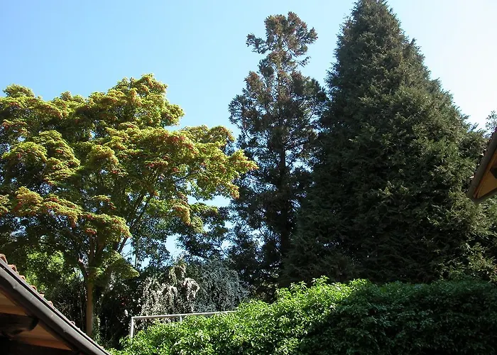 Aparthotel D'azeglio Albiano D'Ivrea