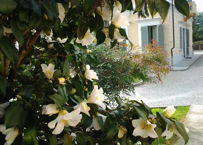 Aparthotel D'azeglio